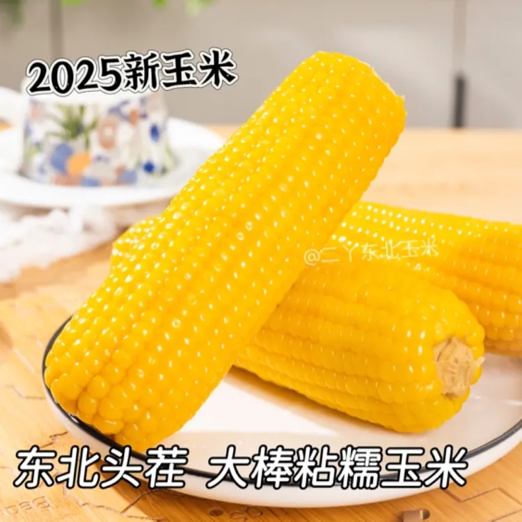 东北25新鲜头茬大棒黄糯玉米黑土地微甜软糯香黏真空锁鲜称重发货
