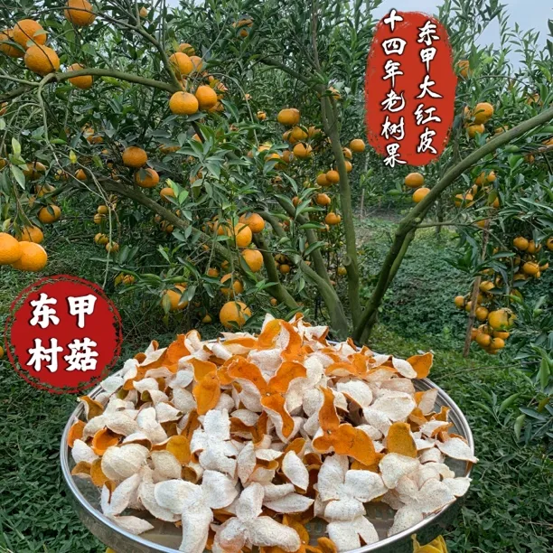 2025年新会东甲大红皮（正宗纯手工生晒干仓新会陈皮）