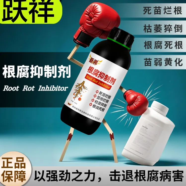 跃祥根腐烂根软腐农作物专用根腐抑制剂苗期死棵僵苗青枯立枯