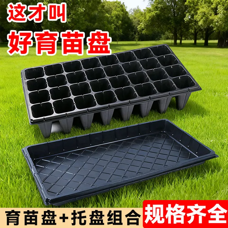 育苗盘穴盘塑料杯种植神器育苗盆玉米扦插发芽豆芽家用草莓播种