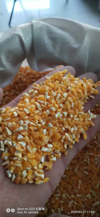 高林村农家笨玉米大喳子玉米糁玉米渣杂粮粗粮