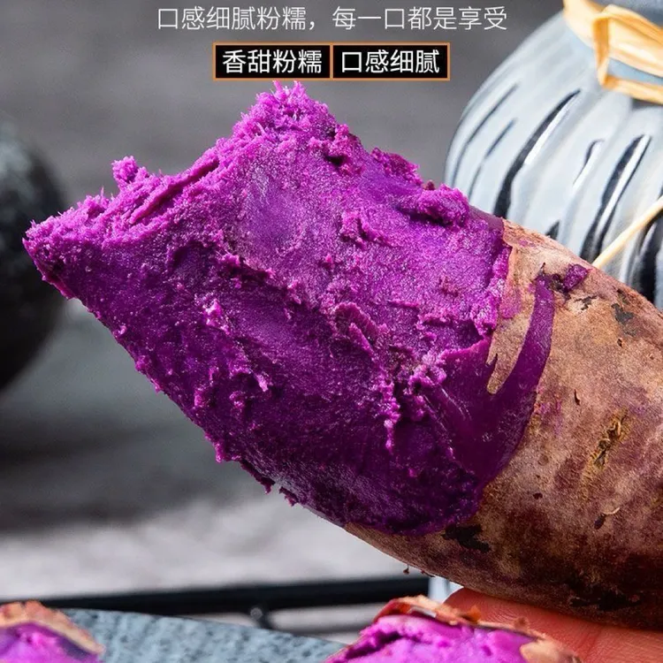 正宗湖北襄阳紫罗兰紫薯粉糯香甜粗粮代餐农家软糯现挖当季沙地