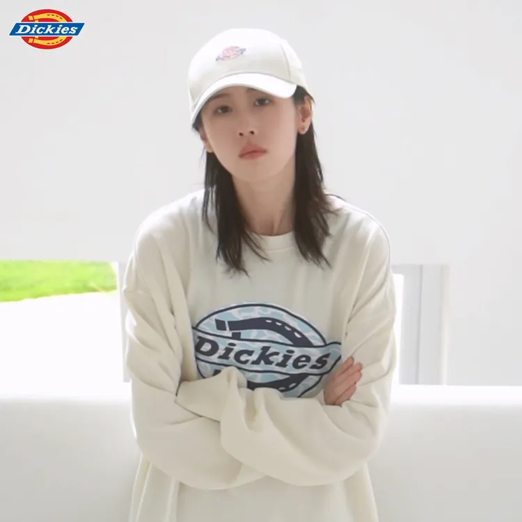 Dickies25秋季新品经典大LOGO卫衣情侣琥珀流光DK0A88Q1