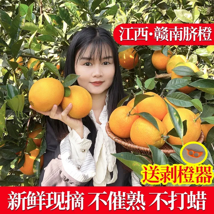 赣南脐橙酸甜孕妇水果新鲜采摘5斤10斤20斤