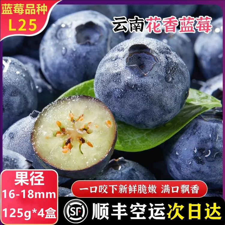 云南L25花香蓝莓果径16-18mm500g（4盒*125g）顺丰空运包邮