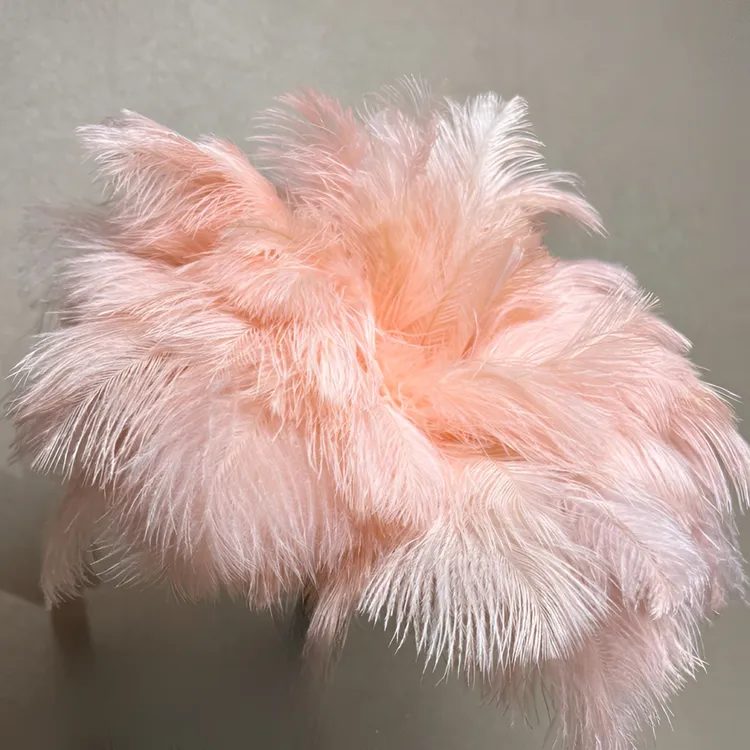 驼鸟毛鸡毛掸子家用装饰除尘掸柔软防静电可水洗不掉毛高档逗猫