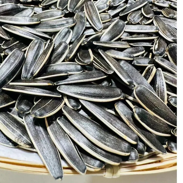 五香黑牙签瓜子大颗粒牙签葵花籽现炒先发细长内蒙特产坚果炒货新