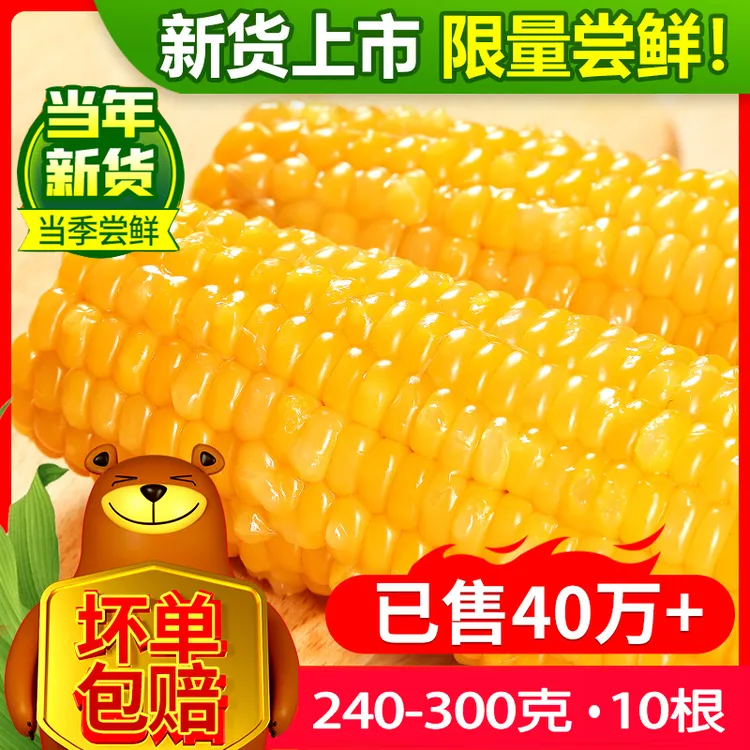 【整箱10支】240-300克东北黑土地黄甜糯玉米真空新鲜玉米粘糯甜香