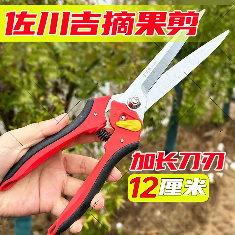 佐川吉7929加长蔬果剪328摘果剪刀稀果剪家用花枝剪子葡萄果树剪