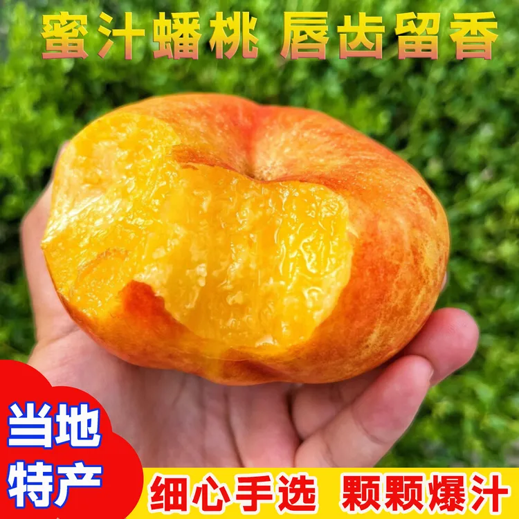 【香甜爆汁】彩虹油蟠桃 夏日尝鲜应季肉厚多汁 软硬两吃纯甜 孕妇