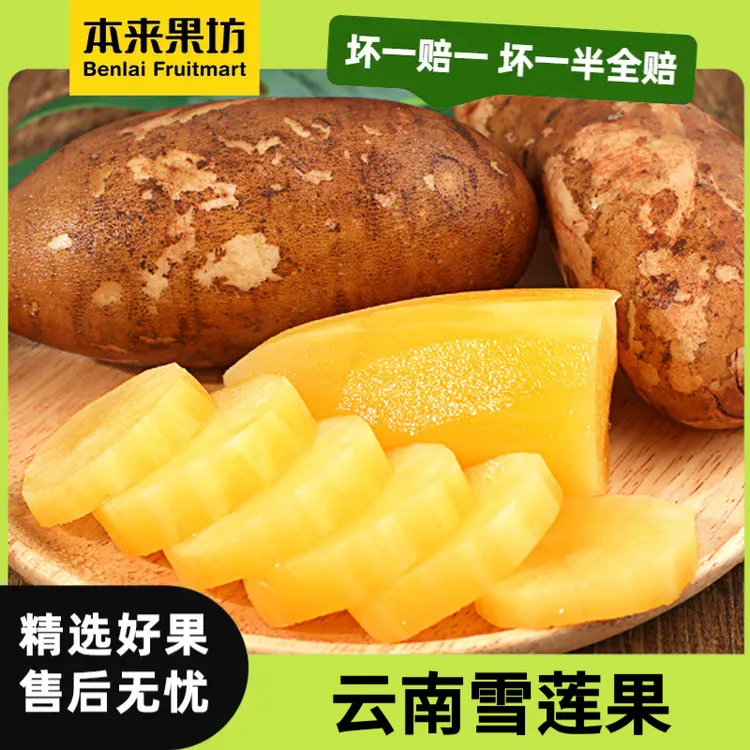 【本来果坊】云南雪莲果 脆甜多汁 肉质细腻 现摘现发 【P】