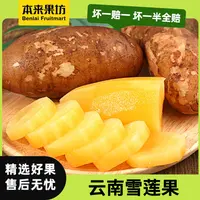 【本来果坊】云南雪莲果 脆甜多汁 肉质细腻 现摘现发 【P】
