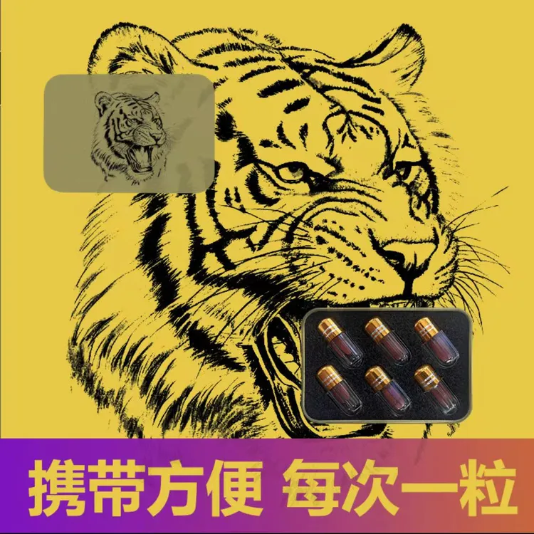 2024新款能量升级玩具唬王