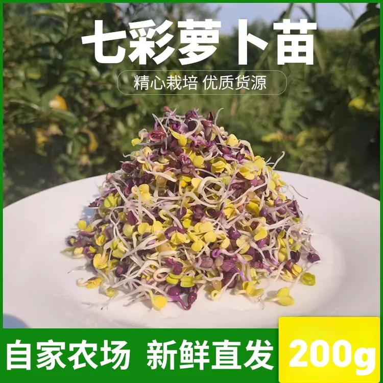 【冷链直达】现采新鲜七彩萝卜芽轻食素食凉拌沙拉西餐冷菜摆盘装饰