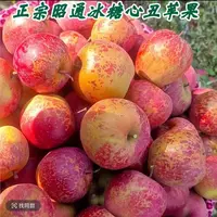 云南正宗现摘红苹果5斤装冰糖心大凉山脆甜水果产地直发