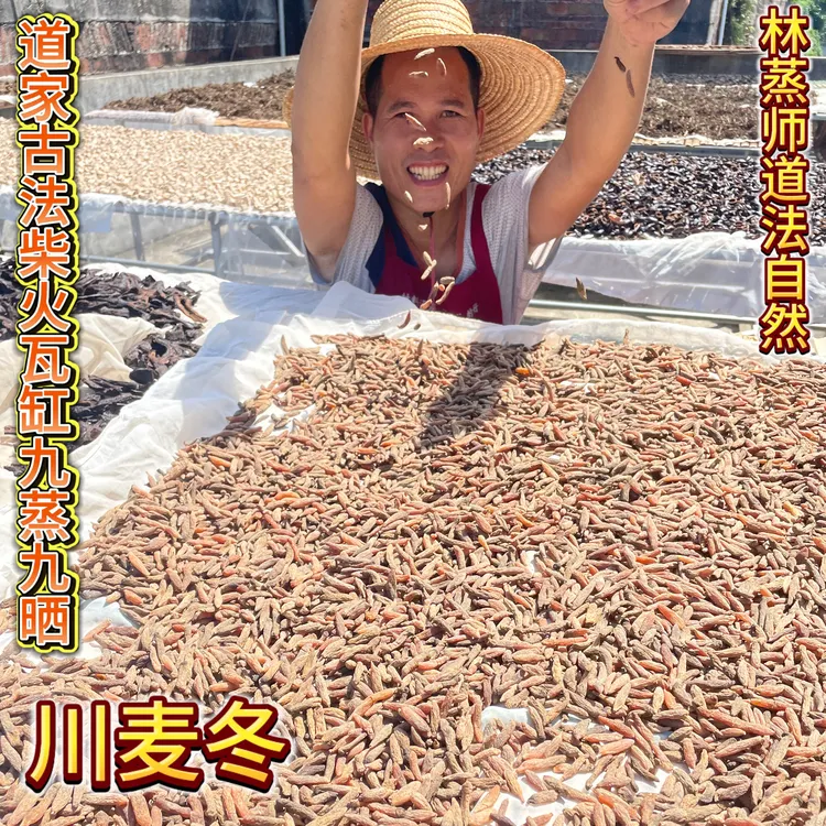 川麦冬九蒸九晒道家传承阴阳古法桑枝火瓦缸木桶晒太阳蒸寸矮麦冬