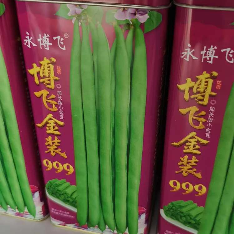 博飞金装999高产抗病适合南方春秋种植