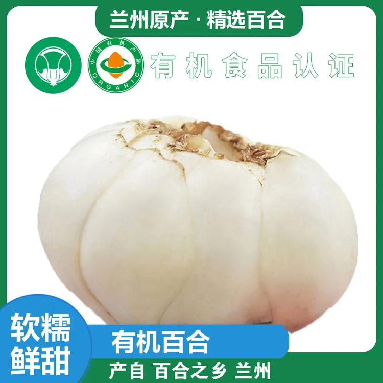 兰州甜百合有机百合新鲜食用甘肃兰州特产真空包装煮粥煲汤食材