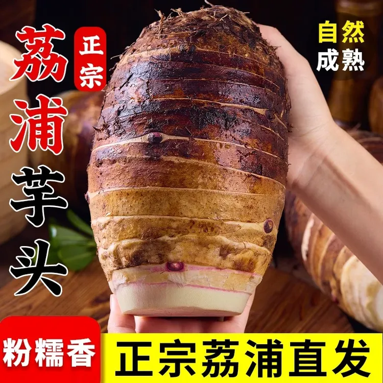 正宗广西荔浦芋头新鲜现挖粉糯香软特产香芋（东北西北地区）
