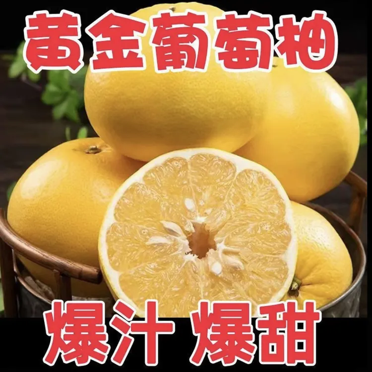 【产地直发】正宗福建黄金葡萄柚新鲜应季水果香甜多汁果园现摘现发
