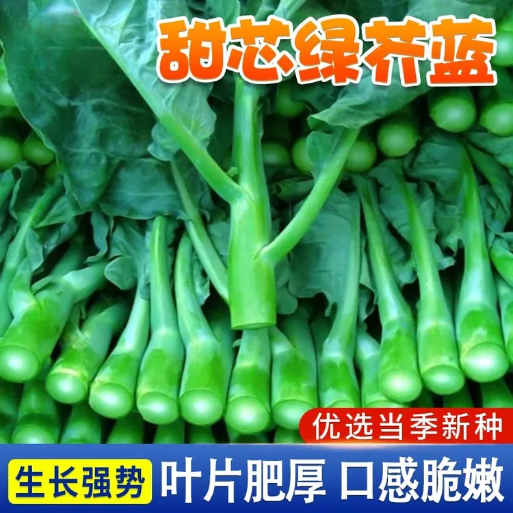 【甜芯绿芥蓝种子】柳叶百花甜脆芥兰种籽四季农家阳台庭院蔬菜种子