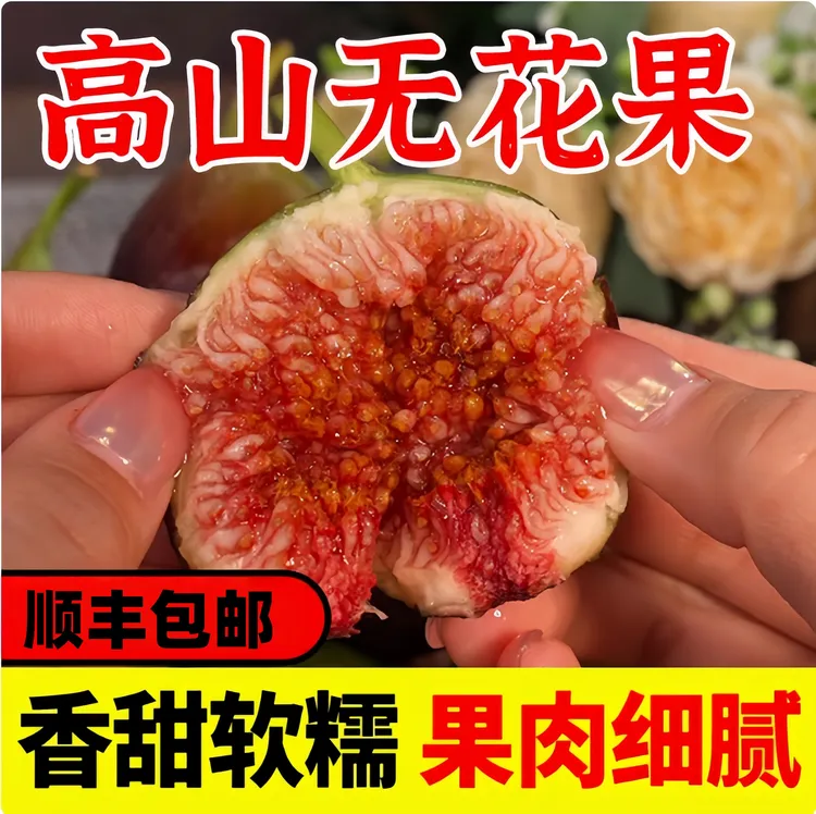 云南红皮鲜果无花果包邮到家软糯鲜甜顺丰冷链发货产地直发现摘