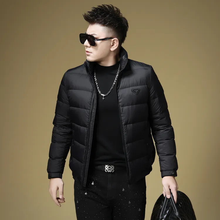 2025男士新款90白鸭绒羽绒服立领保暖休闲外套短款时尚潮流羽绒服