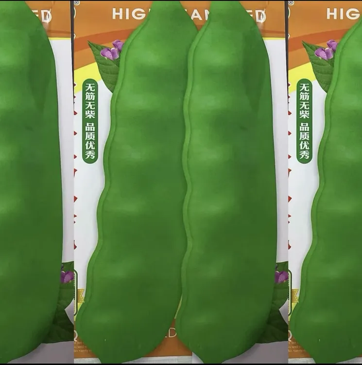 100克盖世双宽豆角籽