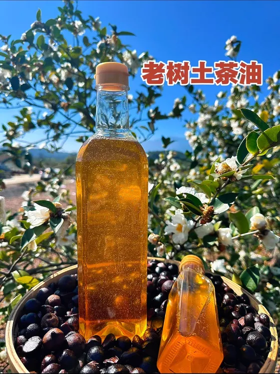 【1.5L土茶油】老树山茶油传统物理压榨头道初榨山茶油