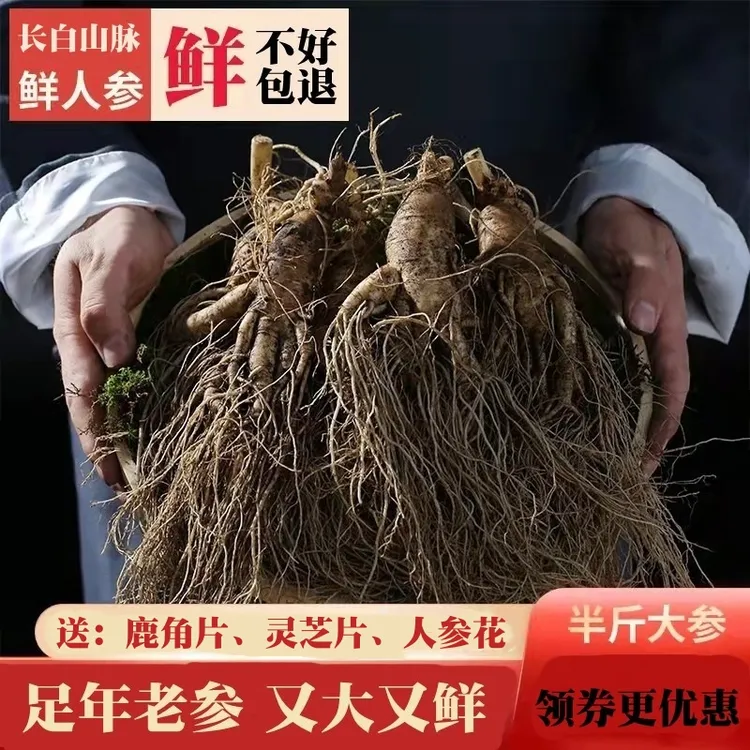 人参长白山脉新鲜人参东北人参泡酒人参