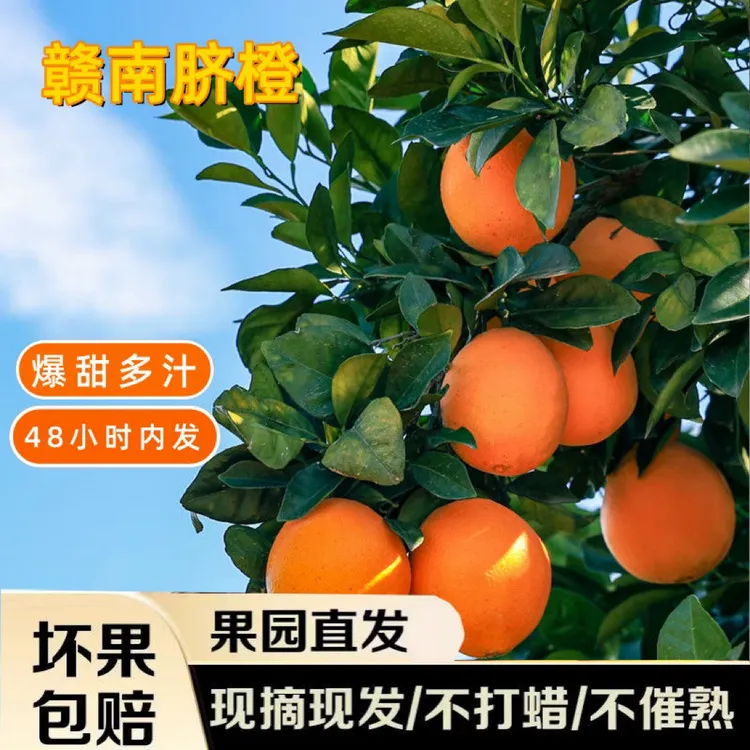 正宗江西赣南脐橙产地直发新鲜应季水果皮薄香甜多汁