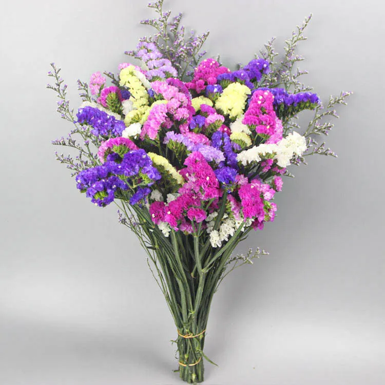 干花客厅摆设干花花束客厅摆设装饰摆件云南真花风干天然鲜花批发满天星勿忘我
