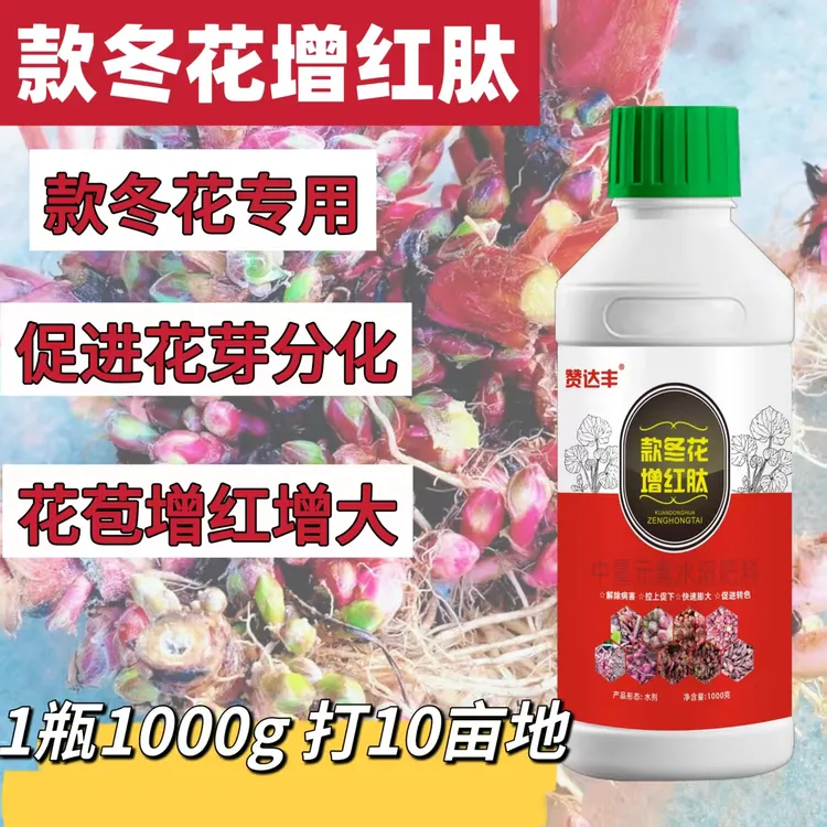 款冬花增红肽 赞达丰款冬花增红肽 冬花促花苞 花苞多 花苞增红