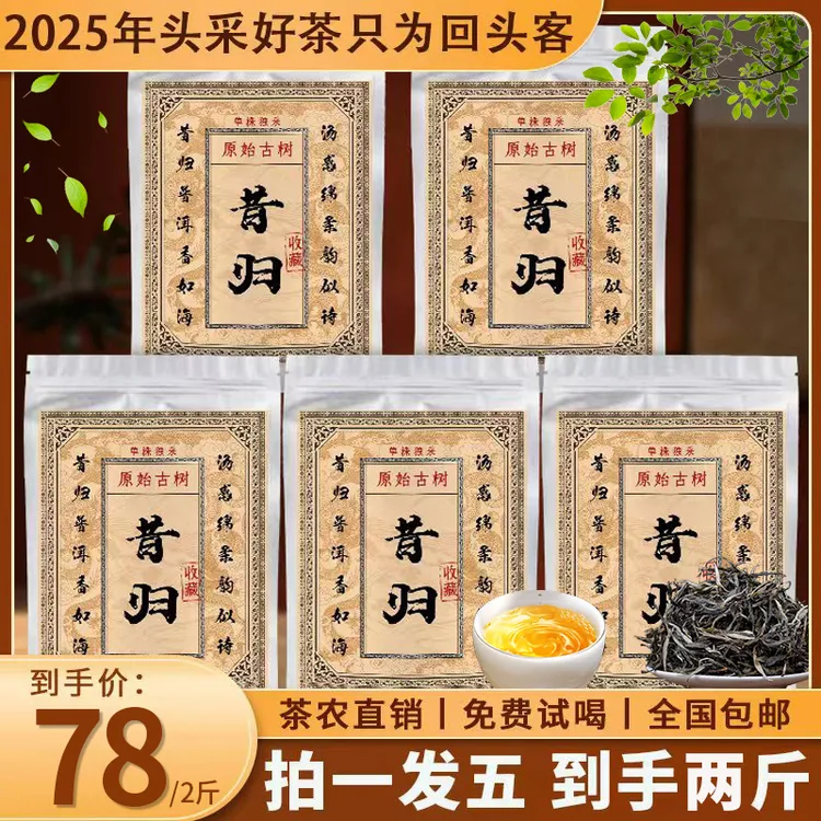 【春茶上新】2025昔归普洱生茶丨纯正手工制作丨茶汤金黄丨拍一发五