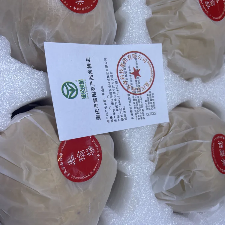 重庆奉节奉瑜梨脆甜可口细腻多汁秋月梨