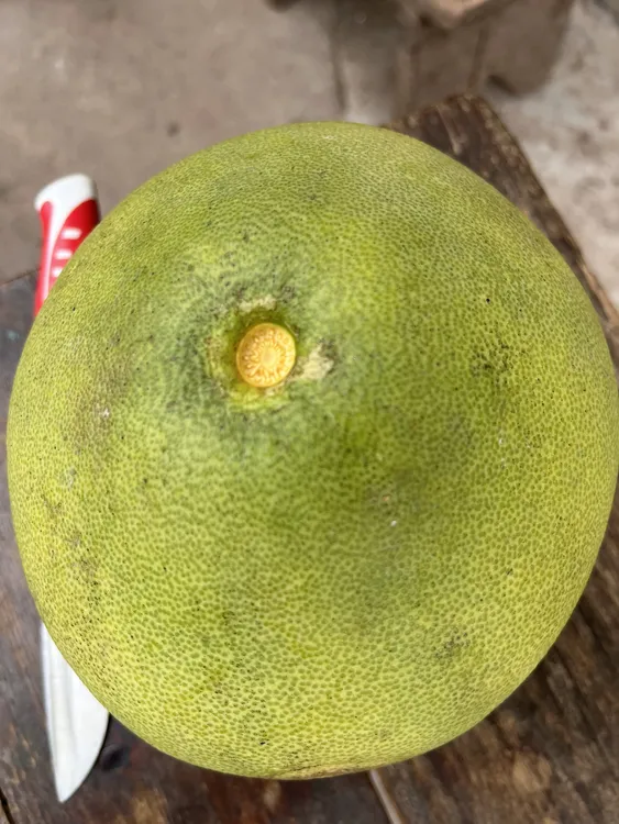 【脆香甜】柚子 水分十足 两个装食用佳品