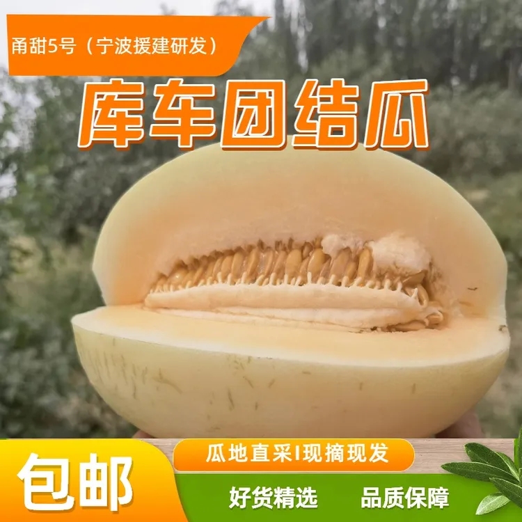 【精选好货】新疆龟兹天山雪瓜甜瓜脆爽甘甜多汁应季水果现摘现发