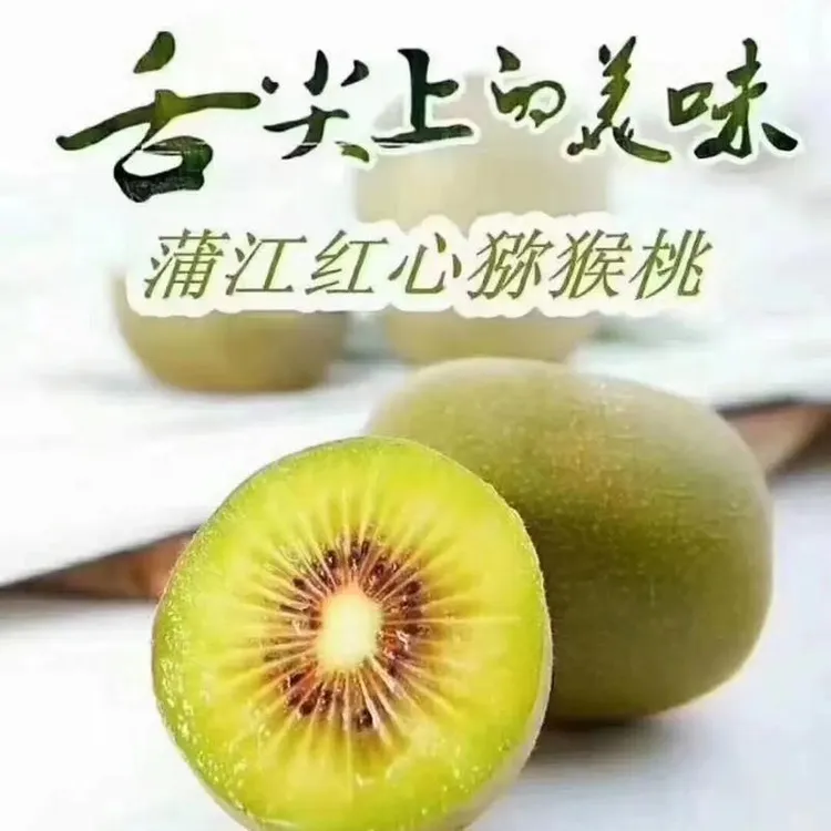 【全国包邮】四川蒲江红心猕猴桃新鲜当季水果奇异果香甜多汁
