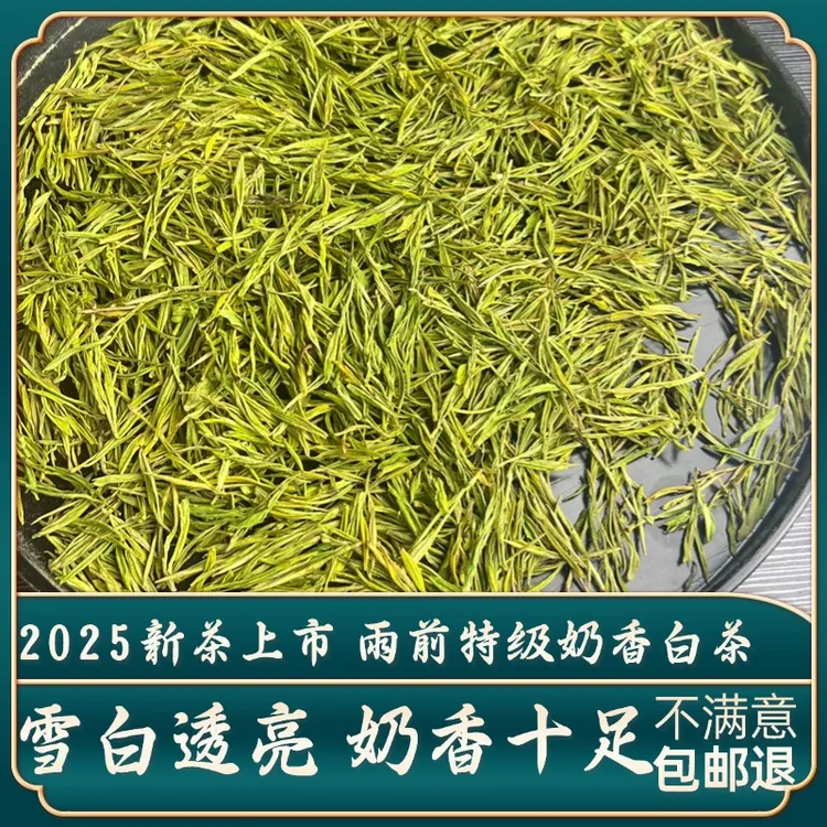 2025新茶雨前特级奶香白茶浓香高山绿茶浓香散装礼盒御子恒