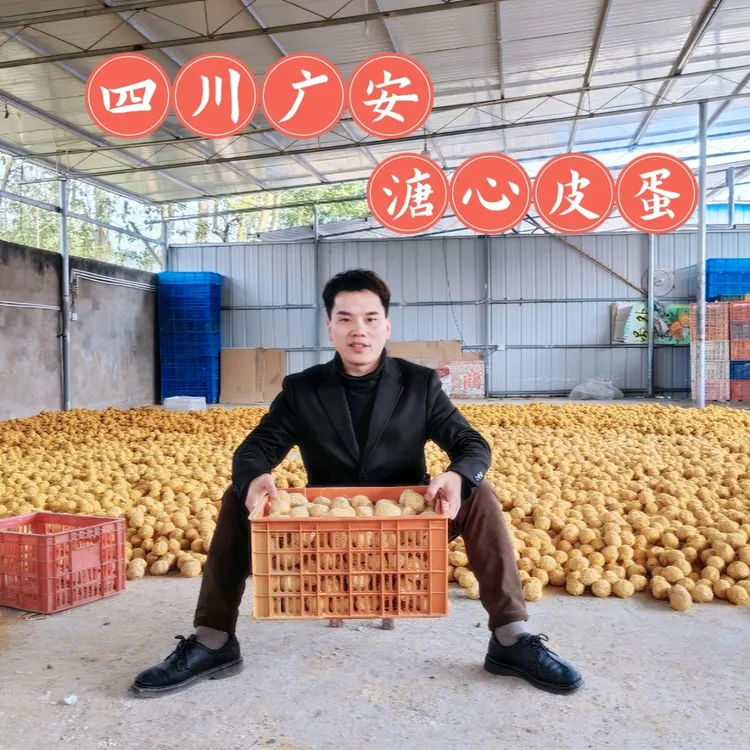 龙帅助农四川特产鸭蛋皮蛋松花蛋无铅工艺糖心红心皮蛋锯木灰包蛋大个整箱