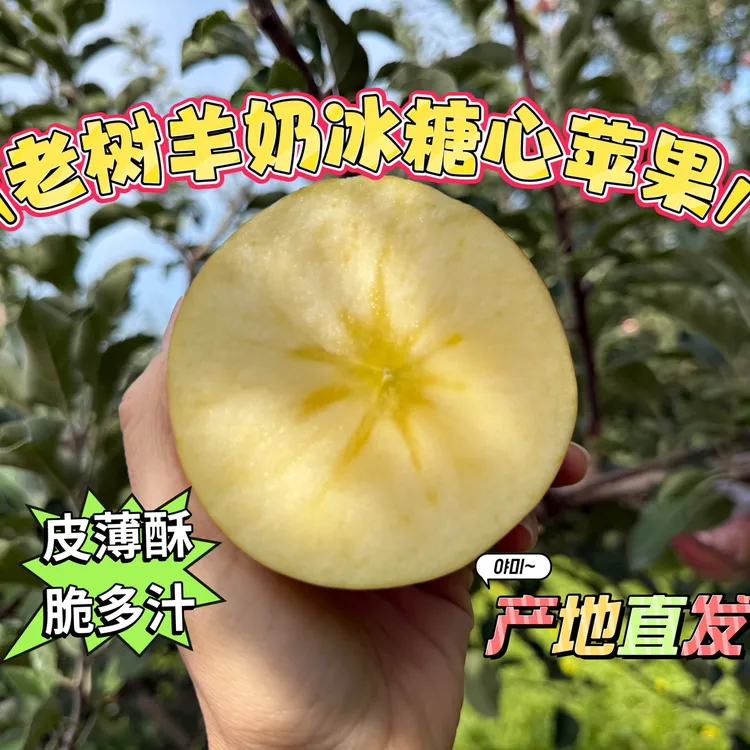 【坏果包赔】红富士爆汁羊奶苹果冰糖心苹果脆甜多汁新鲜采摘
