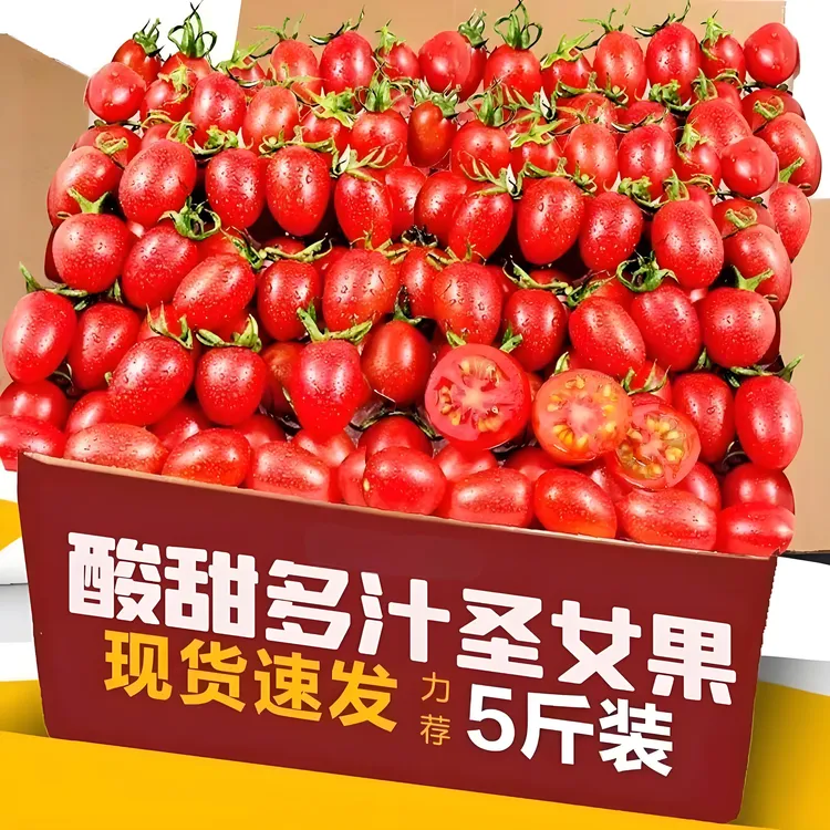 新鲜自然熟山东圣女果小番茄酸甜可口当季水果