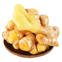 【老姜】湘西农家自种小黄姜老姜姜香味浓郁炒菜调味