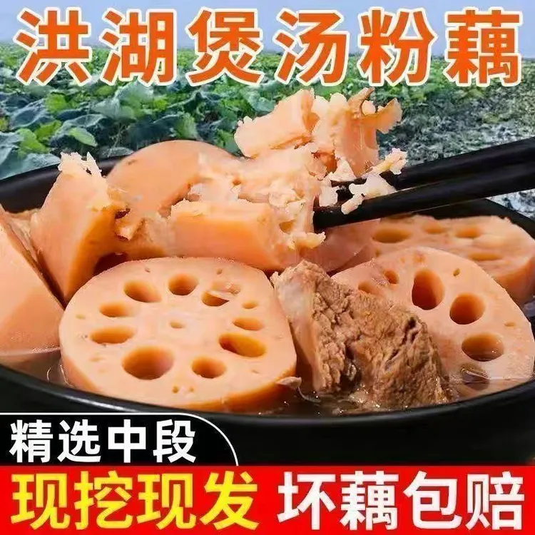 洪湖煲汤粉藕湖北特产面藕糯米藕现挖现发九孔粉藕新鲜蔬菜批发