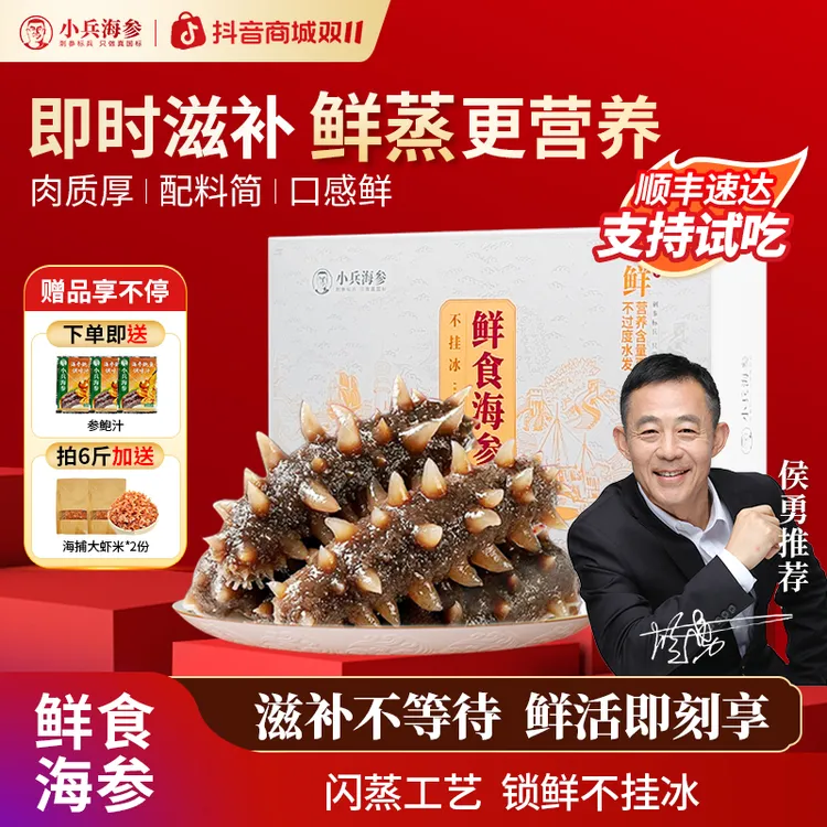 【双11抢先购】侯勇推荐小兵鲜食即食大连辽海参高海参正宗辽参