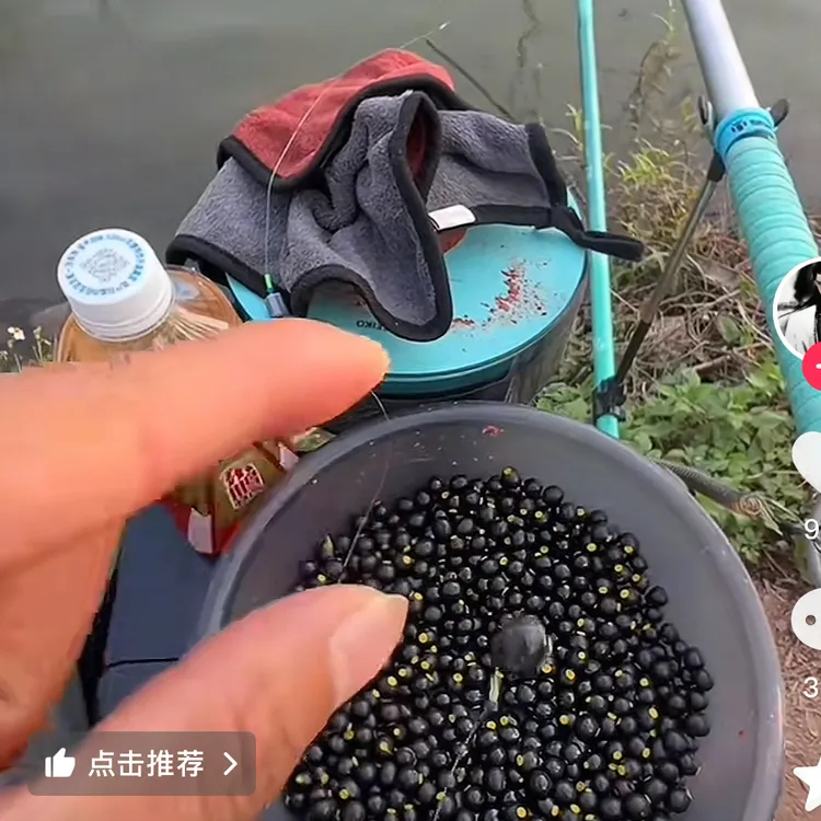 鲜香樟子香樟子钓鱼樟树新鲜清波专用饵料鳊鱼青鱼饵料鱼洱天然果