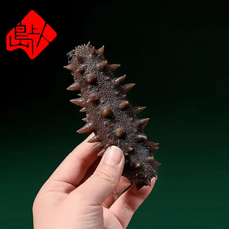 岛上人辽参大连正宗即食海参超低压鲜活加工鲜食海参