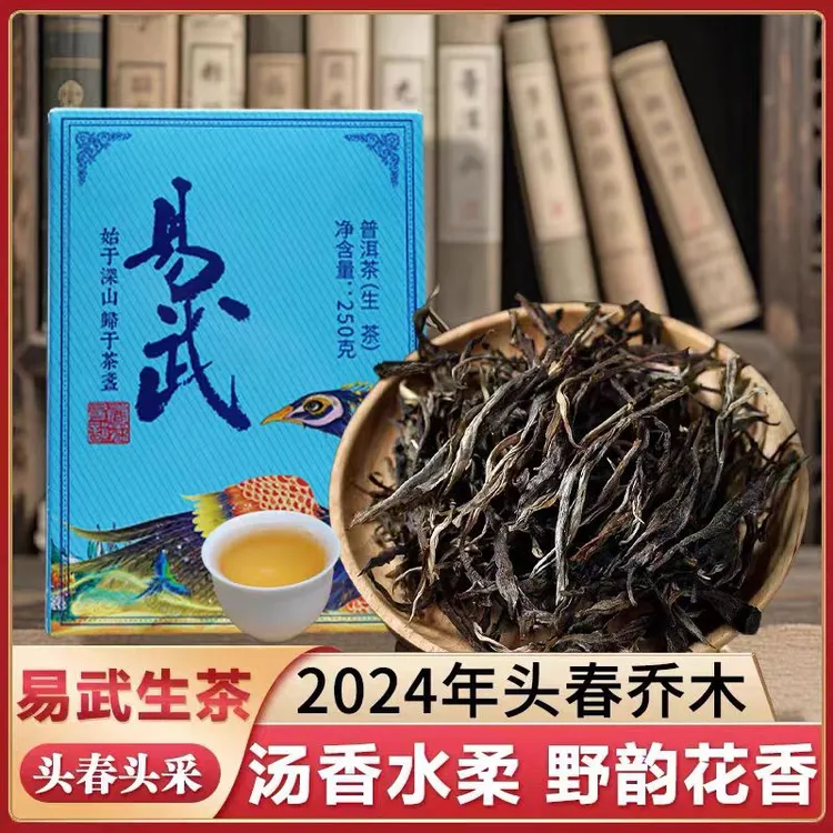 云南普洱茶易武散生茶头春头采春茶料香扬水柔回甘耐泡香气浓郁