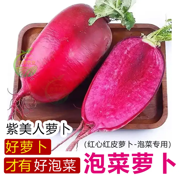 【顺丰快递】新鲜紫美人凤梨萝卜红皮红心生吃脆甜可泡菜的水果萝卜