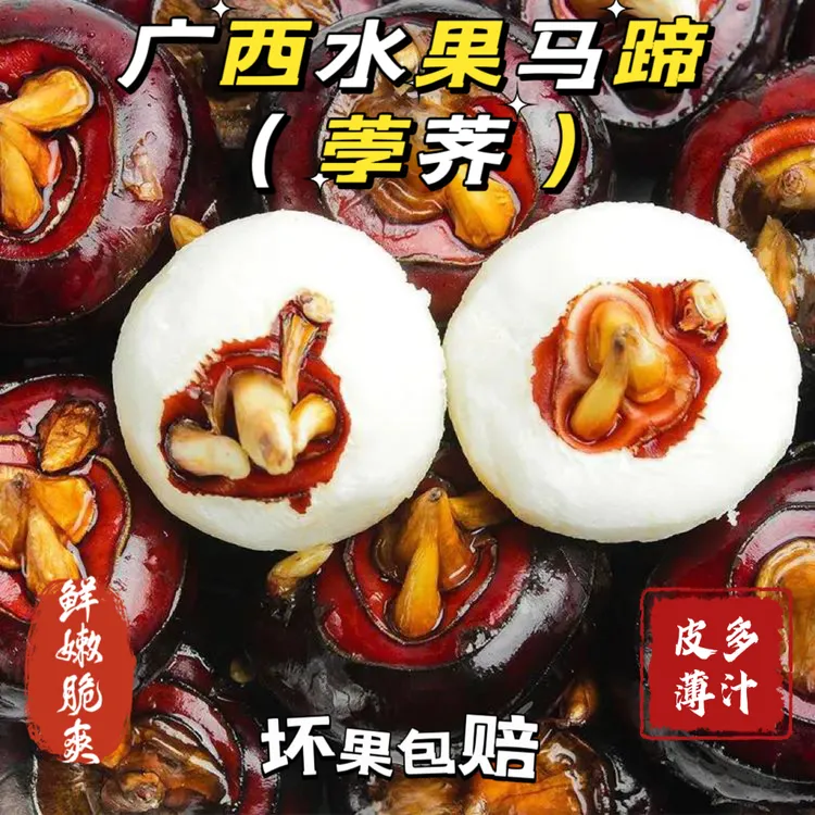 广西现挖红皮水果马蹄荸荠应季水果脆甜多汁解压零食